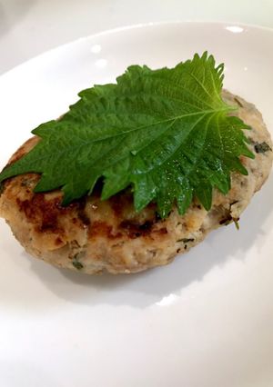 豆腐と大葉のハンバーグ-レシピのメイン写真