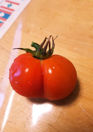 ホントに簡単トマトソースおまけ付き☺❤-レシピのメイン写真