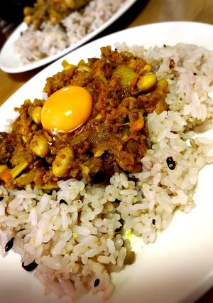 夏の本格薬膳スパイスカレー-レシピのメイン写真