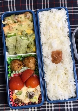 20190807マイ弁当-レシピのメイン写真