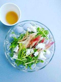 豆苗とみょうがのサラダ-レシピのメイン写真