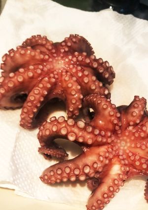 釣り生のマダコの茹で方(タコの下処理)-レシピのメイン写真