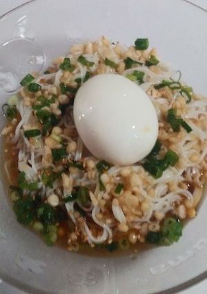 ぶっかけ素麺~半熟卵のせ-レシピのメイン写真