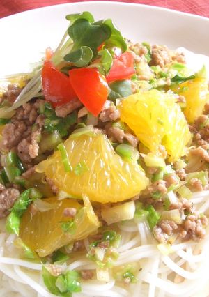 はっさくとひき肉のサラダそうめん-レシピのメイン写真