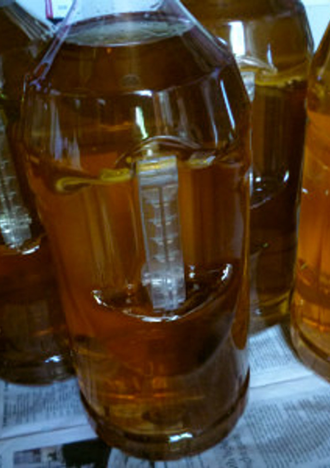 どくだみ酒の実飲版Ver.2-レシピのメイン写真