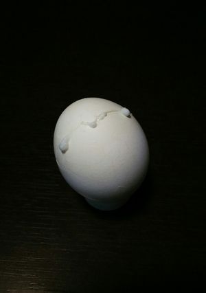 ひび割れた卵の茹で方-レシピのメイン写真