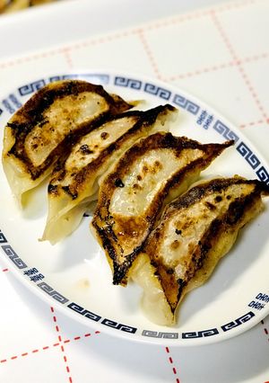 ゴーヤー餃子-レシピのメイン写真