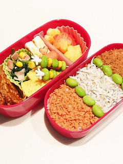 小学生(6年)夏期講習のお弁当4-レシピのメイン写真