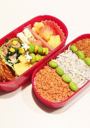 小学生(6年)夏期講習のお弁当4-レシピのメイン写真