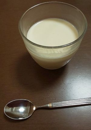 ゼラチンプリン-レシピのメイン写真