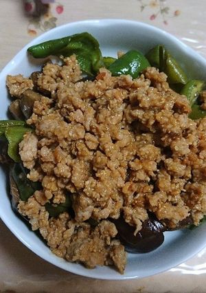 茄子とピーマンと鳥ももミンチ-レシピのメイン写真