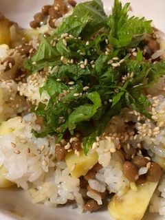 納豆とカレーポテトの大葉のせ-レシピのメイン写真