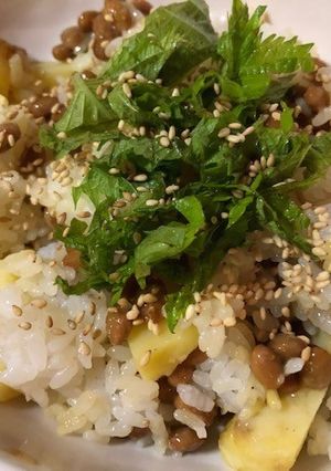 納豆とカレーポテトの大葉のせ-レシピのメイン写真