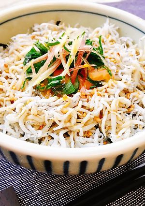 ごま油香る♪ 〜絶品しらす丼〜-レシピのメイン写真