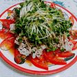 冷しゃぶおろしポン酢がけカイワレ大量消費