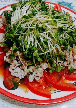 冷しゃぶおろしポン酢がけカイワレ大量消費-レシピのメイン写真