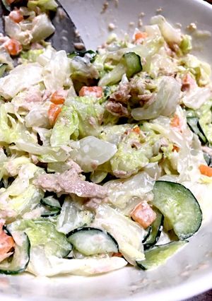 ゆで野菜とツナのサラダ♪-レシピのメイン写真