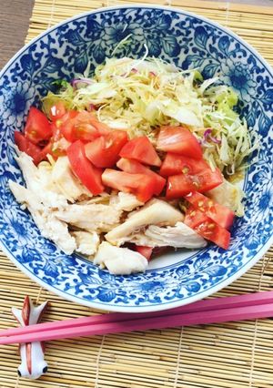 猛暑日には、流水麺で冷やし中華-レシピのメイン写真