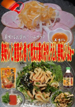 美味ドレ南蛮ポン酢で明太大葉の冷しうどん-レシピのメイン写真