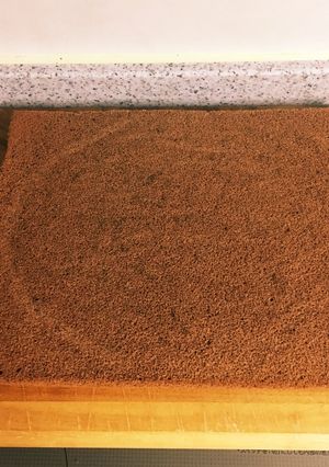 グルテンフリーチョコレートスポンジ-レシピのメイン写真