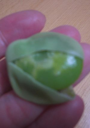 うちの✿そらまめの茹でかた-レシピのメイン写真