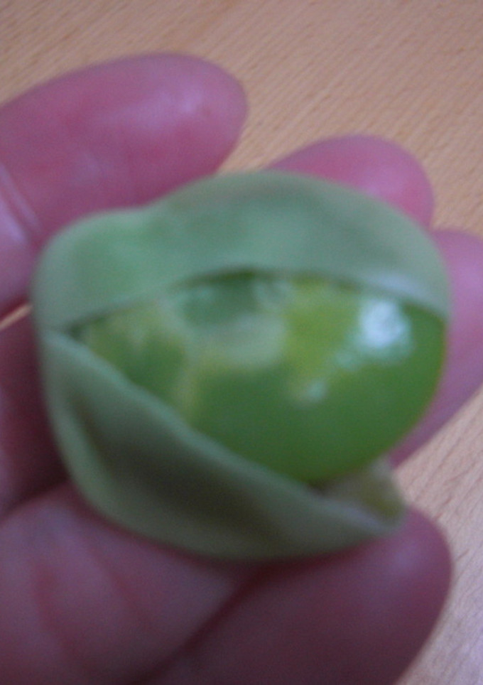 うちの✿そらまめの茹でかた-レシピのメイン写真