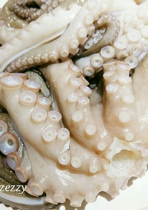 釣りたてタコの下処理|ぬめり取りの基本-レシピのメイン写真