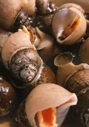 旨ウマ♪ばい貝の白だし煮-レシピのメイン写真