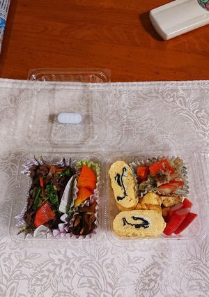 今朝はお出かけ弁当です。-レシピのメイン写真