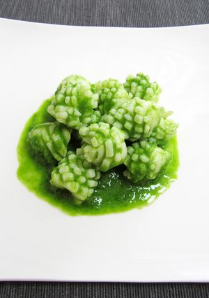 イカの青葱山椒ソース掛け（椒麻魷魚）-レシピのメイン写真