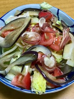 ナスとトマトの梅ドレッシングサラダ-レシピのメイン写真