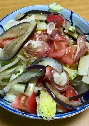 ナスとトマトの梅ドレッシングサラダ-レシピのメイン写真