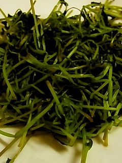 豆苗のしょうゆ炒め-レシピのメイン写真