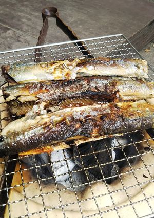 七輪で秋刀魚の塩焼き-レシピのメイン写真