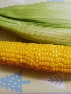 レンジで5分!ゆでとうもろこし完成!-レシピのメイン写真