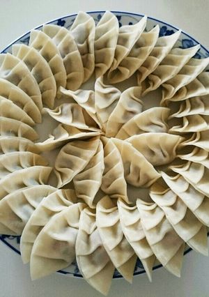 餃子が苦手だった家族がパクパク食べた餃子-レシピのメイン写真