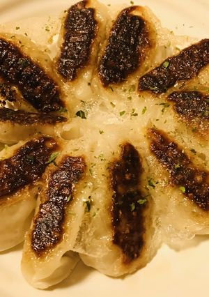 レトルト餃子●はねつきで焼く餃子-レシピのメイン写真