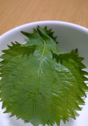 生七味の大葉おにぎり-レシピのメイン写真