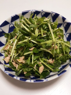 簡単!豆苗シーチキン-レシピのメイン写真