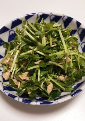 簡単!豆苗シーチキン-レシピのメイン写真