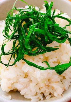 ねぎ塩と大葉の香り混ぜご飯-レシピのメイン写真