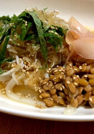 食欲無い時に。乗っけるだけ冷やしうどん-レシピのメイン写真