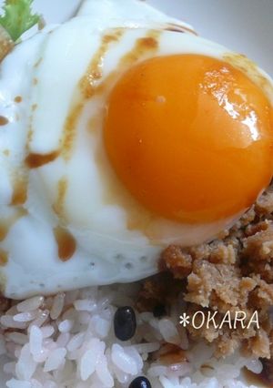 *おからdeかんたんﾛｺﾓｺ丼*-レシピのメイン写真