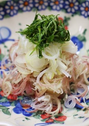 みょうが好きさんのための薬味野菜サラダ-レシピのメイン写真