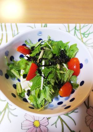 豆腐と水菜のふりかけサラダ-レシピのメイン写真