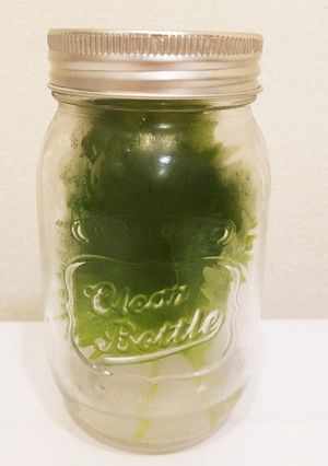 大葉の保存-レシピのメイン写真