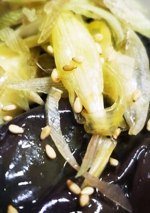 お年寄り絶讚シリーズ‼️茄子揚げ浸し‼️-レシピのメイン写真