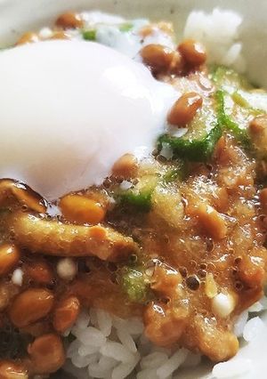 さっぱり☆納豆丼-レシピのメイン写真