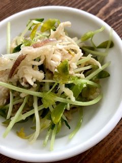 ミョウガと切り干し大根と豆苗のナムル-レシピのメイン写真