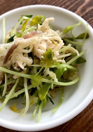 ミョウガと切り干し大根と豆苗のナムル-レシピのメイン写真